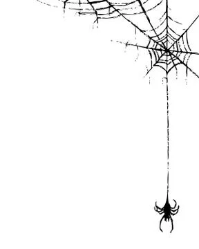 Spider and web Stock Illustration