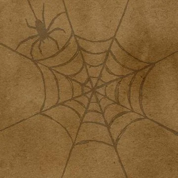 Spider and web Stock Illustration