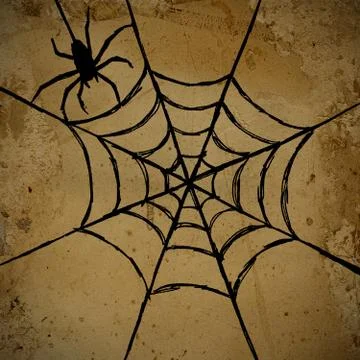 Spider and web イラスト素材