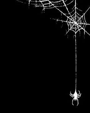 Spider and web 스톡 일러스트