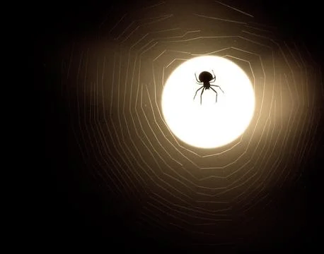 Spider And Web Moonlight Silhouette Stock Photos