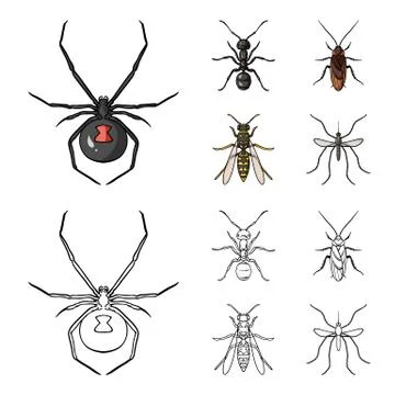 Spider, ant, wasp, bee .Insects set collection icons in cartoon,outline style 스톡 일러스트