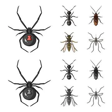 Spider, ant, wasp, bee .Insects set collection icons in cartoon,monochrome style Illustration