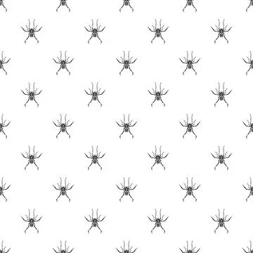 Spider arachnid seamless pattern on white background Stock Illustration