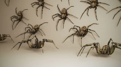 Spider army many scary realistic tarantula arachnid nightmare Stock Footage