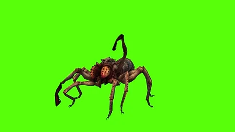 Spider Attack Green Screen Animation and... | Stock Video | Pond5