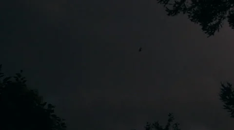 Spider on the background lightning flashes, the sky during a thunder-storm Stock Footage 41386519