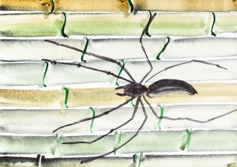 Spider on bamboo trunks Illustrazione stock