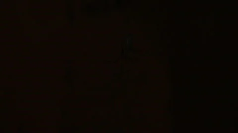 SPIDER IN BASEMENT Stock Footage 377099