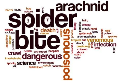 Spider bite word cloud Stock Illustration