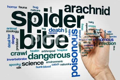 Spider bite word cloud Stock Photos
