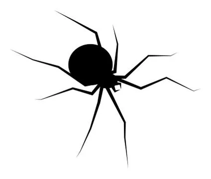 Spider black widow silhouette vector symbol icon design. Beautiful illustrati Stock Illustration