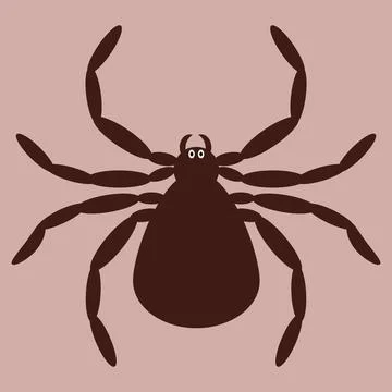 Spider brown on coloured background. Spider icon for logo. Element for tatt.. Stock Illustration