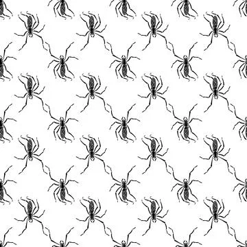 Spider bug pattern seamless vector 스톡 일러스트