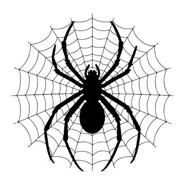 Spider with cobweb spider net vector on white background Stock Illustration