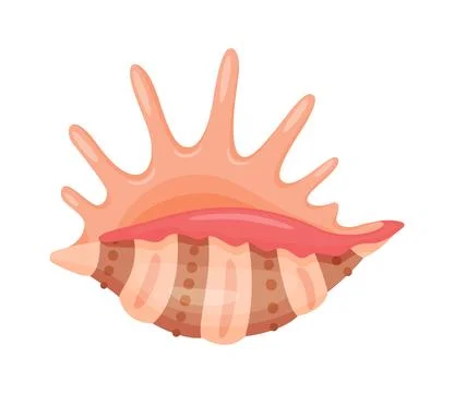 Spider Conch Seashell Hand drawn. Cartoon style flat illustration seashell 스톡 일러스트