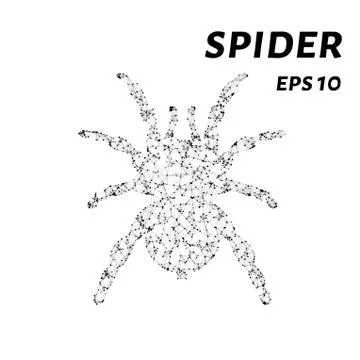 The spider consists of points, lines and triangles. The polygon shape in th.. Stock Illustration