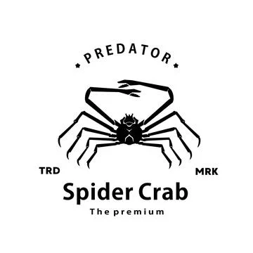 Spider crab logo vector outline silhouette art icon Stock Illustration