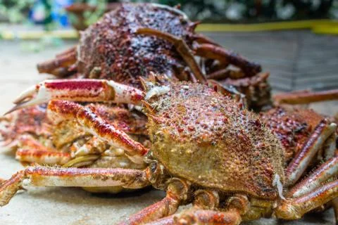 Spider Crabs close up Stock Photos