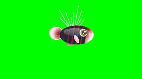 Spider Crawling Isolated Green Screen Stock Video Video stock 336959175