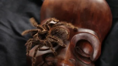 The spider crawls on an ancient mask Stock Footage 76623133