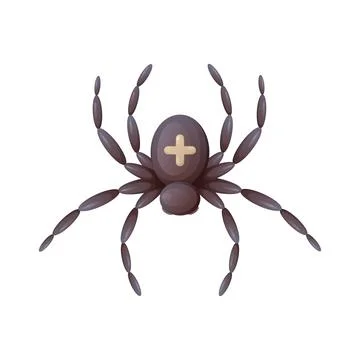 Spider with a cross on its back, top view, cartoon vector illustration Stock Illustration