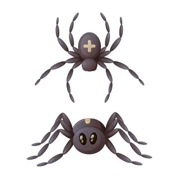 Spider with a cross on its back, top and side view, cartoon vector illustration Stock Illustration