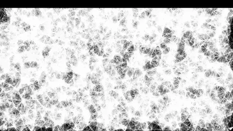 Spider deep net animation Stock Footage 277001877