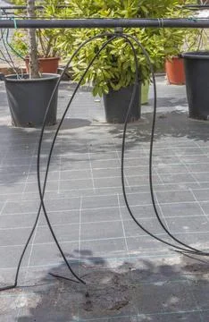 Spider drip irrigation system on large pots Stock Photos