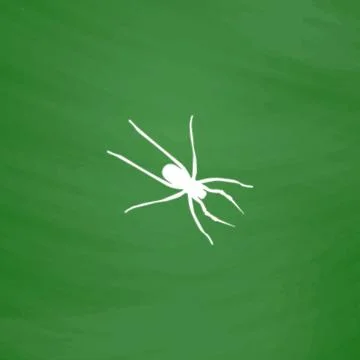 Spider flat icon 스톡 일러스트