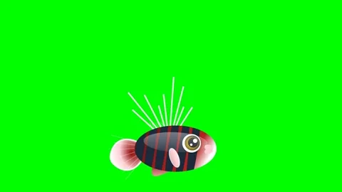 Spider Flying on Green Screen Chroma Key Background Video stock 336959179