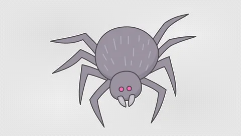 Spider 스톡 동영상 337774022