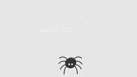 Spider 스톡 동영상 339930998