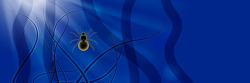 A spider in forest at night Stock Illustration
