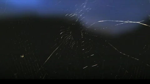 Spider gets sprayed Stock Footage 507999