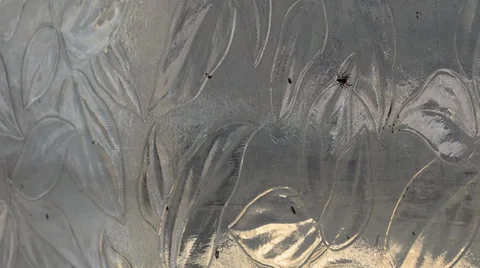 Spider on a glass window Stock Footage 36815932