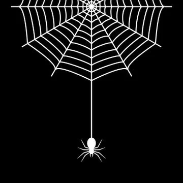 Spider hanging on the cobweb thread Stock Illustration