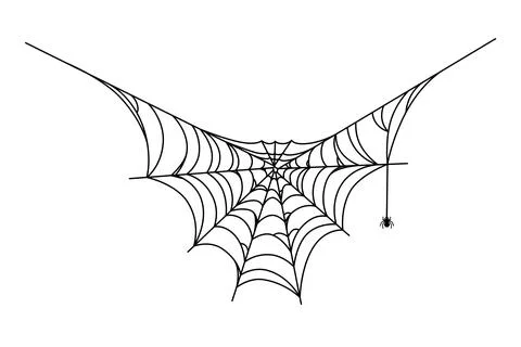 Spider hanging down from its web. Cobweb isolated on white background. Vector Stock-Illustration