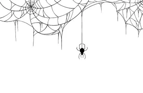 Spider  hanging from spiderwebs on white   background, Hallowed banner isolat Stock Illustration