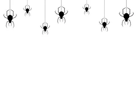 Spider  hanging from spiderwebs on white   background, halloween banner isola Stock Illustration