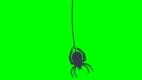 A spider hanging upside down by a spider web walking on its arms and legs Stock Footage 286338941