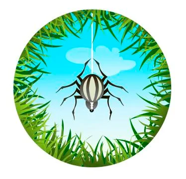 Spider hanging on the web Stock Illustration