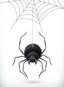 Spider. Happy Halloween, 3d vector icon Illustrazione stock