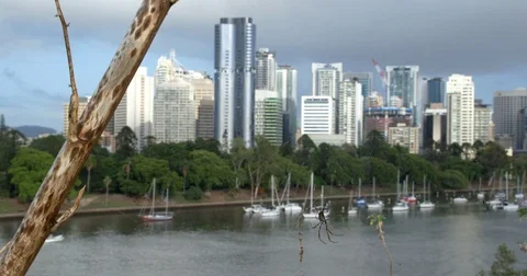 This spider has the best view! Stock Footage 73031164