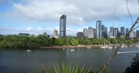 This spider has the best view! Stock Footage 73031395