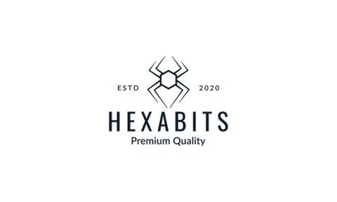 Spider hexagonal  line art  logo icon illustration design Stock Illustration