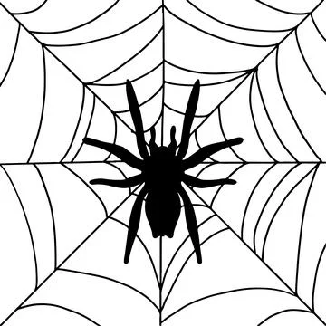 Spider on his web in doodle style. Halloween holiday concept. Black outline s Stock Illustration