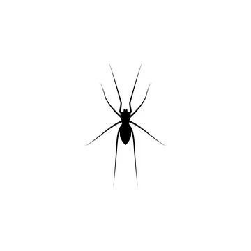 Spider icon. Elements of world of insects icon for concept and web apps Stock Illustration