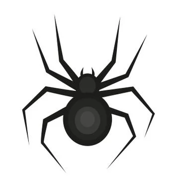 Spider icon is a flat style. Isolated on white background. Vector illustration. Stock Illustration