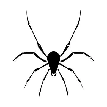 Spider icon Stock Illustration
